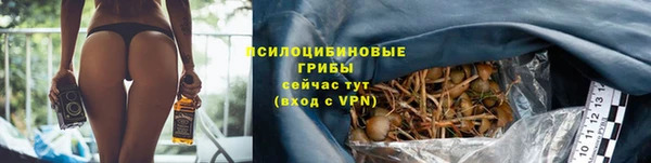 герыч Аркадак