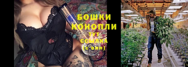 винт Армянск