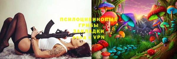 мдпв Зеленодольск